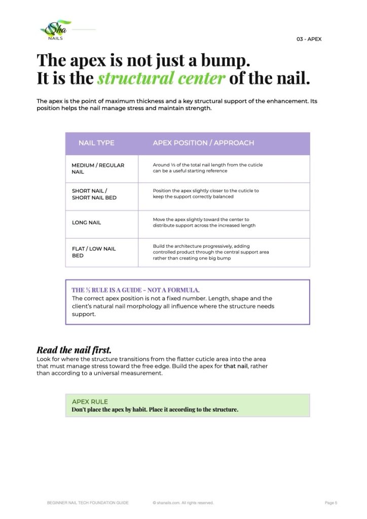 Page 5 of the guide, The apex is not just a bump: a table of apex position by nail type and a note that the apex is the structural center of the nail.