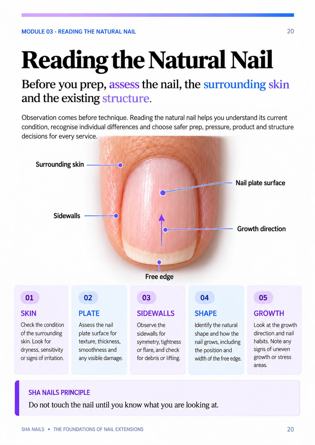 Manual page on reading the natural nail before prep: skin, nail plate, sidewalls, shape and growth direction